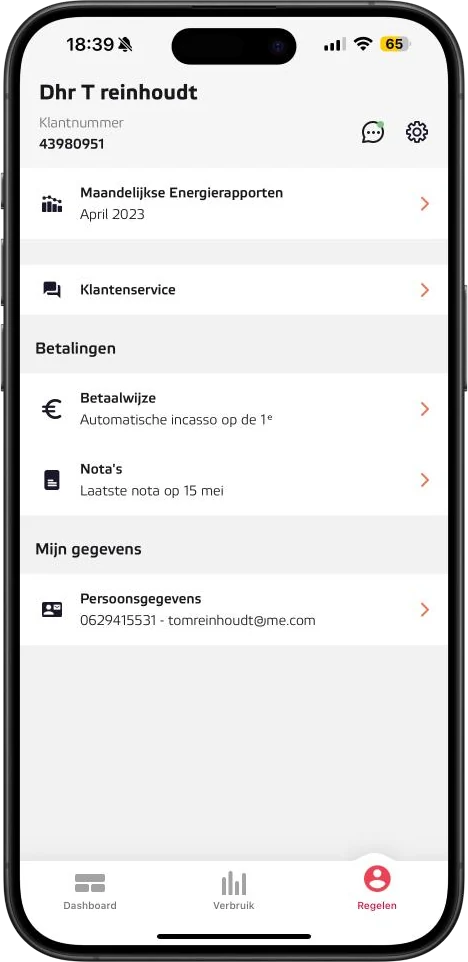 Eneco self-service mobile interface